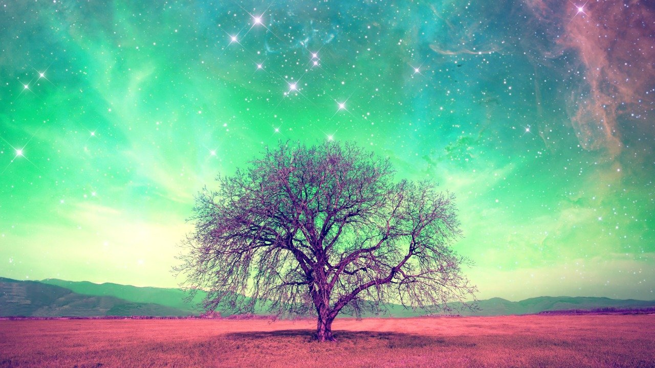 ruyalarin-yorumlanmasi